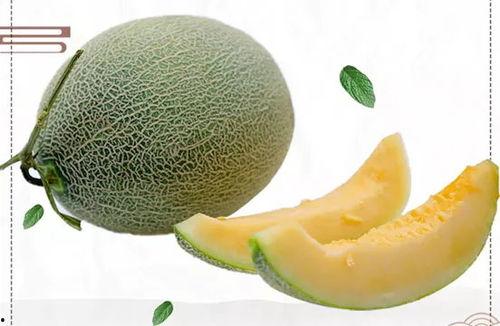 吃瓜美少女广东,解码广东美食风情